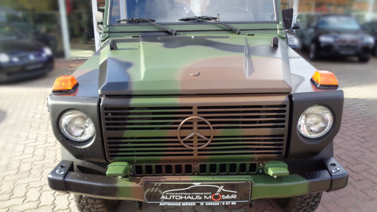 Mercedes Benz G 250 Wolf Fahrzeug komplett nach Lackierung / tarnfleck