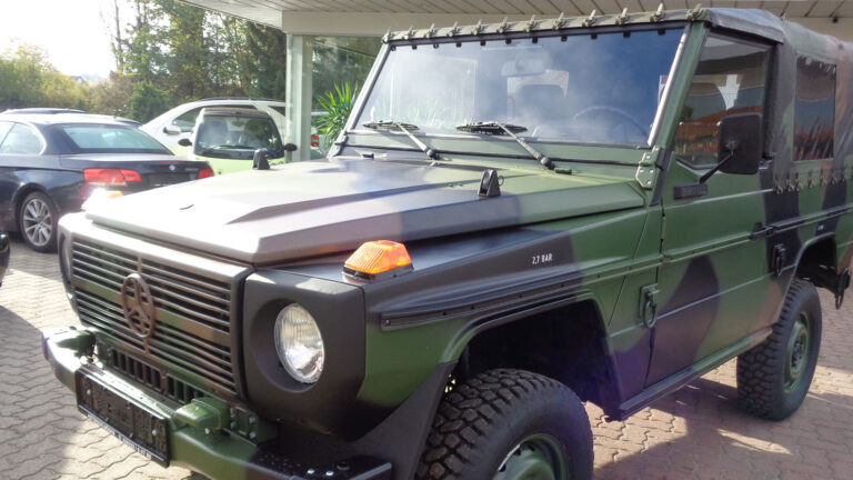 Mercedes Benz G 250 Wolf Fahrzeug komplett nach Lackierung